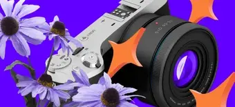 Курс Курс «Авторская фотография» от Contented