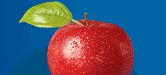 Курс HR-менеджмент: Менеджер по персоналу Курс переподготовки от НАДПО