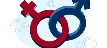 Курс Курс Сексология. Повышение квалификации от НИИДПО