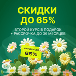 Скидка 65% на заказ