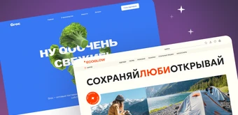 Курс Профессия Веб-дизайнер. Тариф Оптимальный от Логомашина