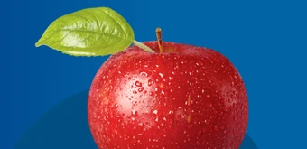 Курс Руководитель отдела продаж. Повышение квалификации от НАДПО