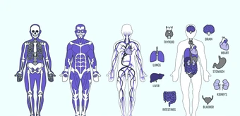 Курс Обучение телесной психотерапии. Сертификат! от НЦРДО