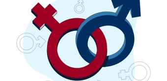 Курс Курс Сексология. Повышение квалификации от НИИДПО