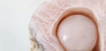 Курс Бизнес-аналитика. Введение от ProductStar