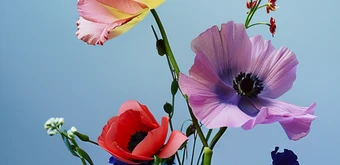 Курс Флористика с нуля от Skillbox