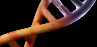 Курс Основы генетики от Skillbox