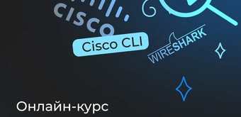 Курс Сетевые технологии от Merion Academy 