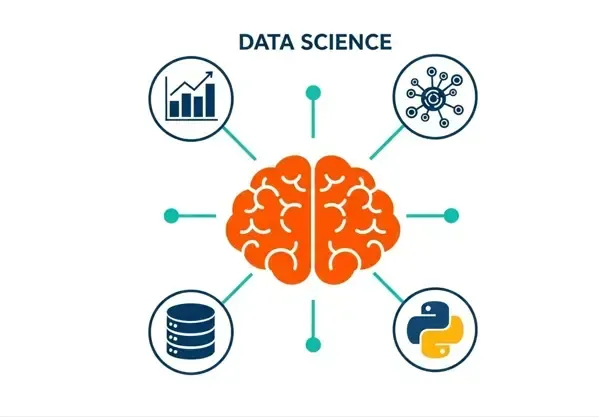 Data scince кто зарабатывает больше