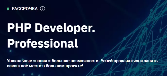 PHP Developer. Professional